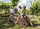 Familie auf einem großen Holzspielzeug mitten in den Weinbergen