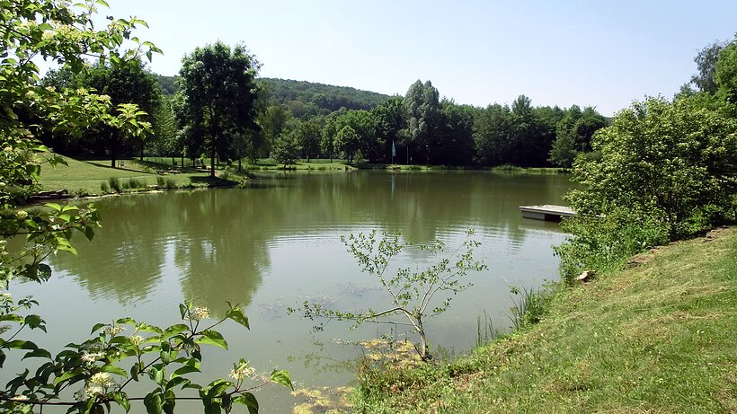 Naturbadesee Arnstein See umringt von grünen Wiesen , Sträuchern und Bäumen