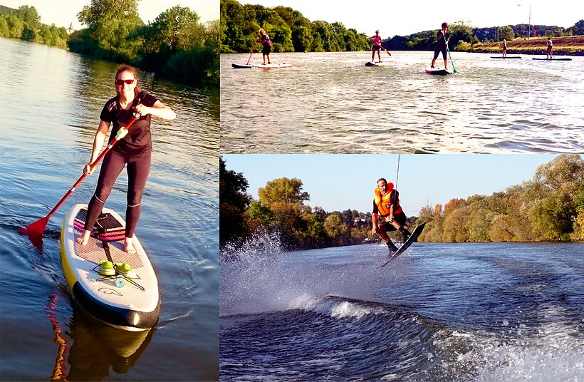 Wassersportcenter Braun Bergrheinfeld Collage von drei Bildern, alle mit Stand-up Padlern auf dem Main