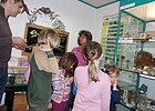 Raum mit Glasvitrinen, bestückt mit Steinen und Fossilien, eine Kindergruppe steht um einen Tisch