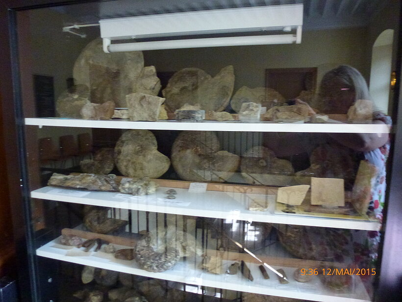 Arnstein Fossiliensammlung Offenes Regal mit weißen Einlegeböden, gefüllt mit Steinen