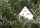 Weiße Treppengiebelseite eines Hauses oder Schlösschens inmitten von leuchtendem glitzernden grünen  Laub