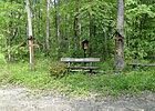 Weg am Wald mit zwei Sitzbänken