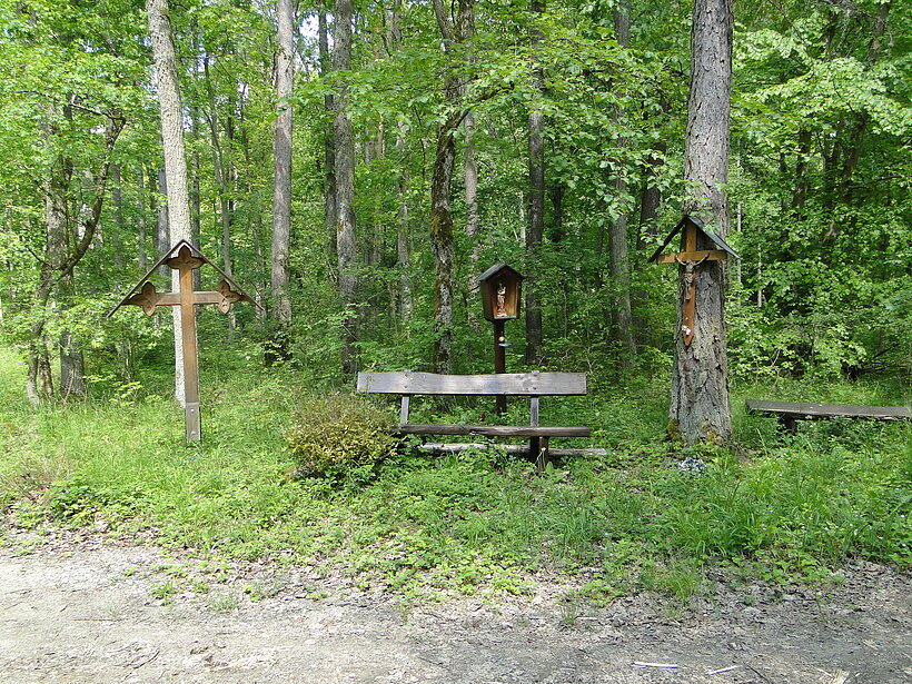 Wandern in Eußenheim/Foto: Kerstin Sewald Weg am Wald mit zwei Sitzbänken