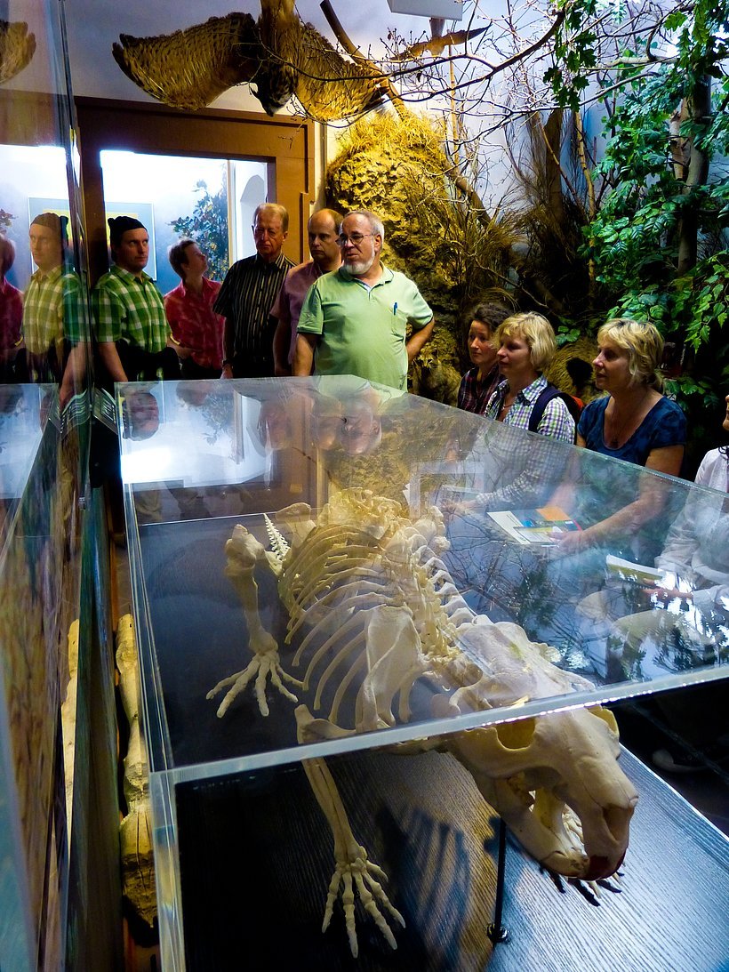 Informationszentrum Naturpark Spessart